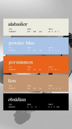 four different colors of the same font and number are shown in this graphic design guide