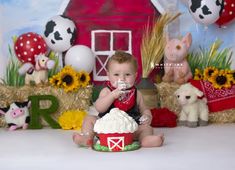 a baby is sitting in front of some fake farm animals and eating cake with sunflowers