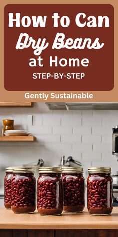 jars filled with beans sitting on top of a counter