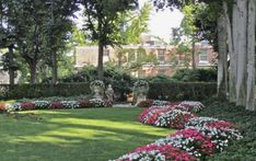 the garden is full of flowers and trees