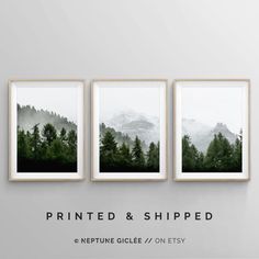 three framed photos hanging on the wall with trees in the background and text printed and shipped