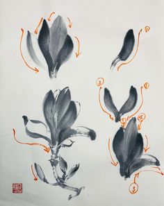 three different types of flowers are depicted in this drawing