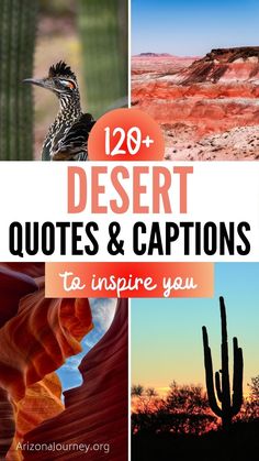 desert pictures with text overlaying the words, 20 desert quotes and captions to inspire you