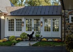 a black cat standing in front of a white house