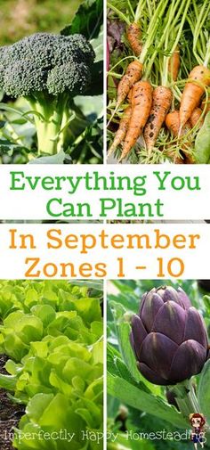 there are pictures of vegetables and plants in the garden with text overlay that says, everything you can plant in september zones 1 - 10