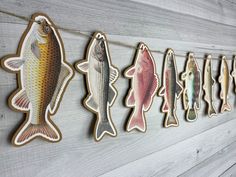 fish magnets are hanging on the wall in front of a wood paneled wall