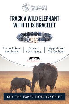 an elephant and its baby are shown in this ad for the wildlife bracelets collection