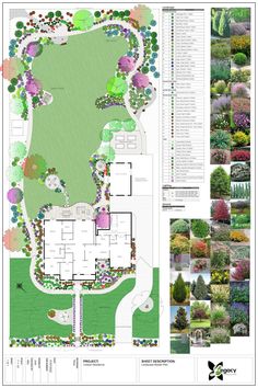 a garden plan with lots of different trees and shrubs in it, including the ground level