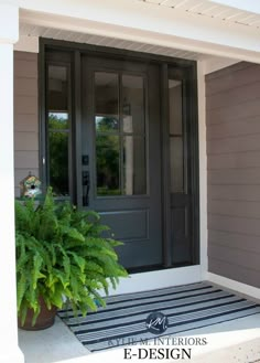 the front door to a house with a potted plant next to it