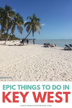 a beach with palm trees and the words epic things to do in key west on it