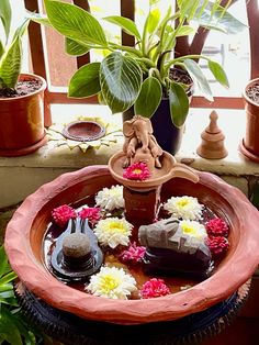 a potted plant sitting on top of a wooden table next to rocks and flowers