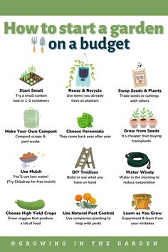 how to start a garden on a budget info sheet from growing in the garden com