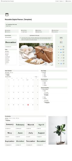 an image of a website page with the same items on it, including a plant