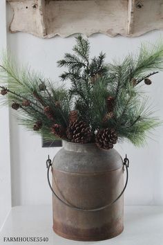 a potted plant with pine cones in it