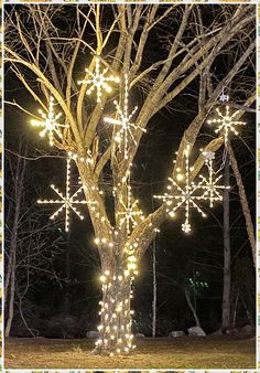 Christmas Garden Lights - Ready for more awesome ideas? - Click to visit for more. Do It IMMEDIATELY!! Tree Trunk Christmas Lights, Pvc Christmas Arch, Exterior Christmas Decorations, Outdoor Christmas Light Displays, Outdoor Tree Decorations, Outdoor Christmas Decorations Lights, Outdoor Tree Lighting