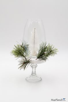 a wine glass filled with pine branches and snow