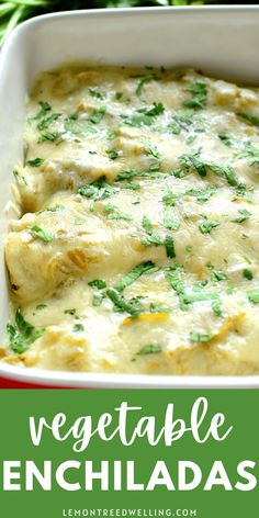 vegetable enchiladas in a red casserole dish with green garnish