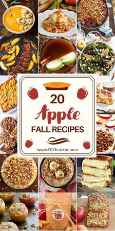 the top 20 apple fall recipes