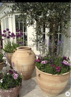 three large clay pots with flowers in them