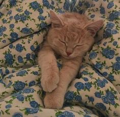 an orange cat sleeping on top of a bed covered in blue flowers and blankets with its eyes closed