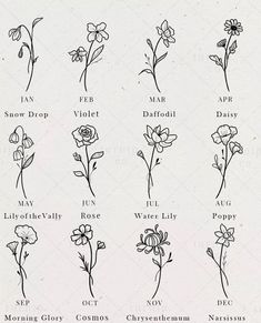 the different types of flowers are shown in black and white, with text below them