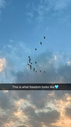 birds flying in the sky with a message below it that reads, this is what freedom looks like