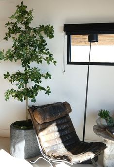 a living room with a chair, potted plant and window