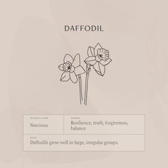 daffodil is the flower that blooms in spring and fall, but it does not appear to be blooming