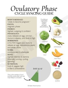 Menstrual Phases, Ovulatory Phase, Link Edit, Moon Cycle