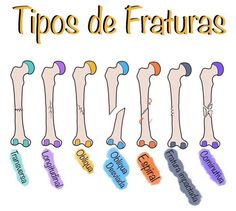 an image of different types of legs with words in spanish and english on the bottom