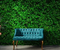 a green couch sitting in front of a lush green wall