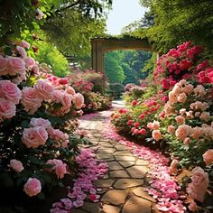 pink roses are blooming on the side of a stone path that leads to an archway