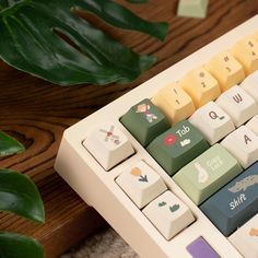 a computer keyboard sitting on top of a wooden table next to a green leafy plant