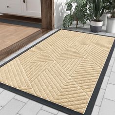 a beige area rug on the floor in front of a potted plant and door