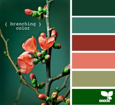 the color scheme is green, brown, and pink with red flowers on each branch