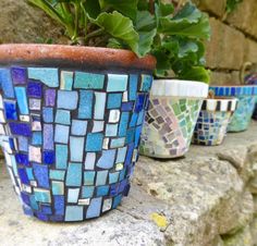 several pots with plants in them sitting on a rock