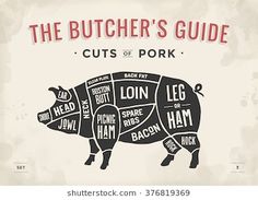 the butcher's guide cuts of pork on an old paper background, with text