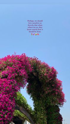 purple flowers are growing on the side of a building with a blue sky in the background