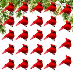 a bunch of red birds sitting on top of a tree next to a christmas ornament