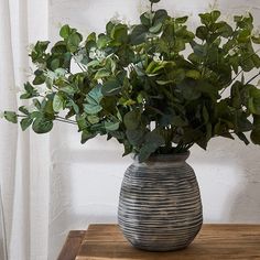 a potted plant sitting on top of a wooden table