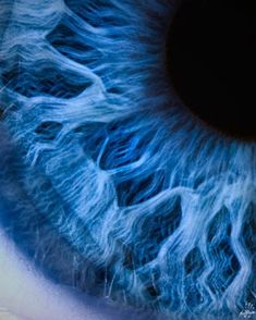 the iris of an eye is shown in this close - up photo, which appears to be blue