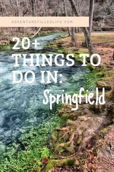 a river with green moss growing on it and the words, 20 things to do in spring