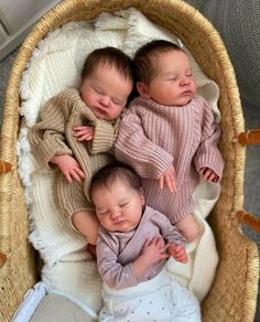 three babies are laying in a basket together