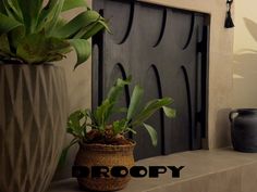 two potted plants sitting on top of a shelf next to a black fire place