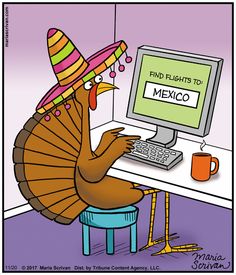 a turkey wearing a sombrero using a computer