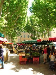 people shopping at an outdoor farmers market under the shade of some trees and green leaves