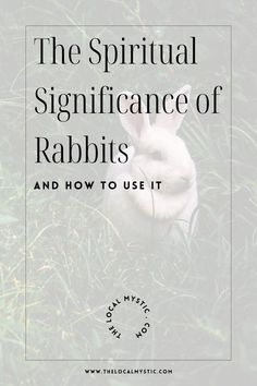 a rabbit sitting in the grass with text overlay that reads, the spiritual significance of rabbits and how to use it