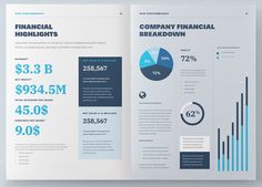 an open brochure with graphs and pies on the front, in blue