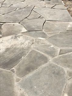 a black and white cat sitting on top of a stone walkway