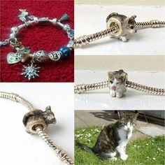 four pictures of different types of cats with bells and charms on their collars, including a cat's tail